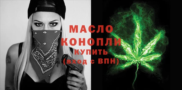 прущий лед Богданович