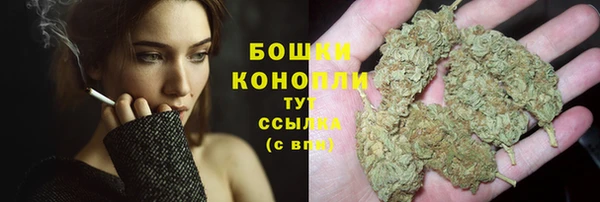 прущий лед Богданович