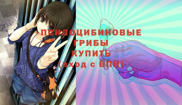 гашиш Богородск