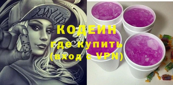 прущий лед Богданович